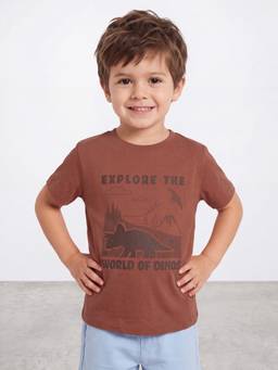 R&B - Boys Brown Cotton T-shirt