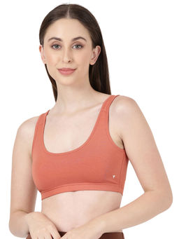 BLOSSOM - Blissful Solid T-Shirt Bra Brown (Pack of 2)