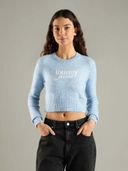 Blue color option, Currently selected