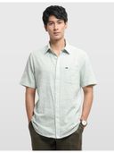 Green color option, Currently selected