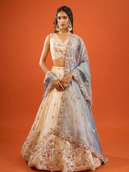 Samyukta Singhania - Tissue Beige Lehenga with Blouse and Dupatta