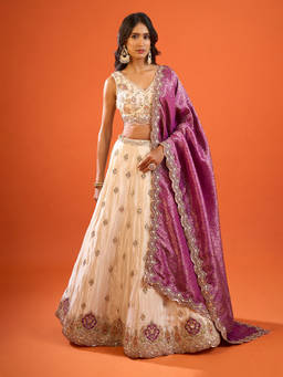 Samyukta Singhania - Sequinned Embroidered Tissue Banarasi Beige Lehenga with Blouse and Dupatta