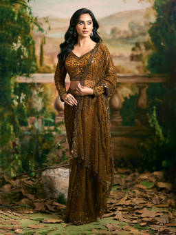Samyukta Singhania - Net Gold and Yellow Saree with Stitched Blouse
