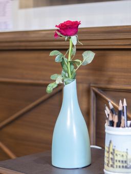 Voncasa - Decorative Ceramic Flower Vase Green Bottle, Glossy