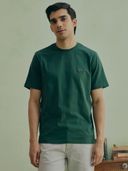 Teal color option