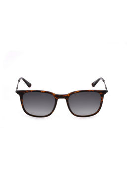 Police - Men Brown Acetate Frame and Grey Colored Lens Sunglasses - Spll77K 53 978P