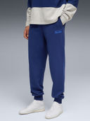 Blue color option, Sold out, Currently selected