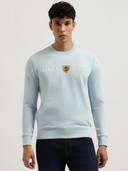 Blue color option, Currently selected