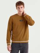 Mustard color option, Currently selected