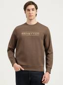 Brown color option, Currently selected