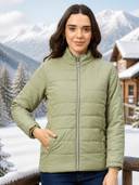 Green color option, Currently selected