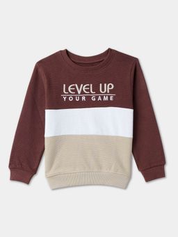 R&B - Cotton Brown Round Neck Boys Sweatshirt