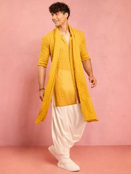 Vastramay - Mustard Embroidered Dupatta