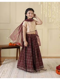 Fabindia - Brown Cotton Silk Blend Printed Choli and Lehenga with Dupatta