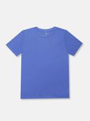Blue color option, Currently selected
