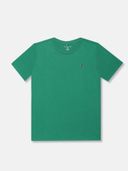 Green color option, Currently selected