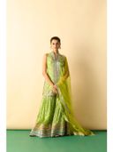 Green color option, Currently selected