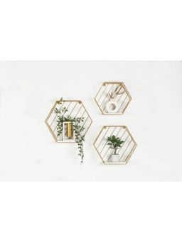 Claymint - Metal Hexagonal Wall Decor Shelves Set Of 3