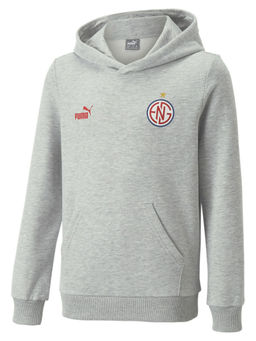 Puma - Ftblcore Fan Unisex Kids Gray Hoodie