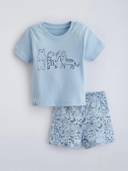 Blue color option, Currently selected