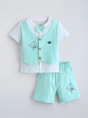 Aqua color option, Currently selected