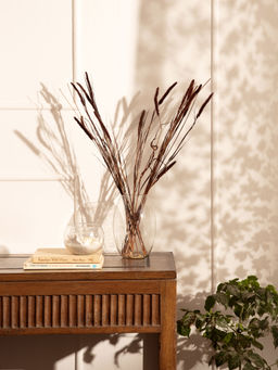 Twig & Twine - Nautica Dried Millet Slim Bouquet (Pack of 20)