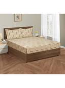 Brown color option, Sold out