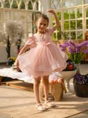 Peach color option, Currently selected