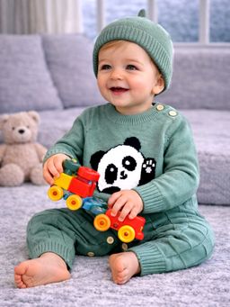 Little Surprise Box - Green Panda Full Sleeves winter Romper with Cap