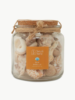 Twig & Twine - Nautica Jar With Natural Color Shells