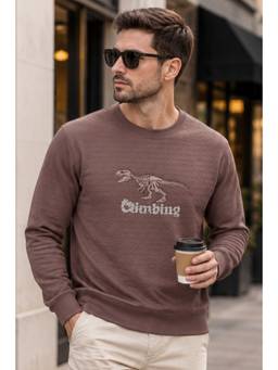 Parcel Yard - Mauve Full Sleeve Round Neck Sweatshirt