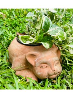 Swadeh - Companion Kitty Planter