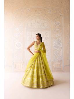 Shyam Narayan Prasad - Thread Embroidered Green Bustier with Lehenga, Dupatta and Belt