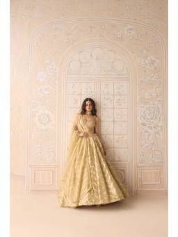 Shyam Narayan Prasad - Zardozi Embroidered Organza Brocade Gold Bustier with Lehenga, Dupatta