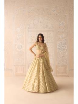 Shyam Narayan Prasad - Zardozi Embroidered Organza Brocade Gold Bustier with Lehenga, Dupatta