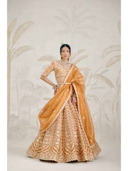 Shyam Narayan Prasad - Gota Embroidered Half-Sleeve Gold Blouse with Lehenga, Dupatta and Belt