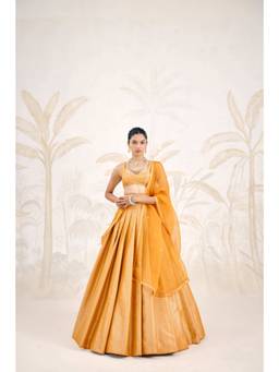 Shyam Narayan Prasad - Zardozi Embroidered Mustard Blouse with Lehenga, Dupatta and Belt