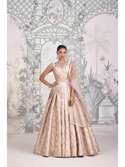 Shyam Narayan Prasad - Zardozi Embroidered Grey Bustier with Lehenga, Dupatta and Belt
