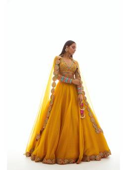 Vvani by Vani Vats - Applique Mustard Blouse with Lehenga and Dupatta