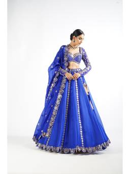 Vvani by Vani Vats - Embellished Blue Blouse with Lehenga and Dupatta