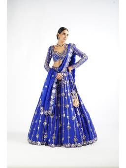Vvani by Vani Vats - Big Flower Linear Blue Blouse with Lehenga and Dupatta