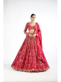 Vvani by Vani Vats - Small Flower Linear Red Blouse with Lehenga and Dupatta