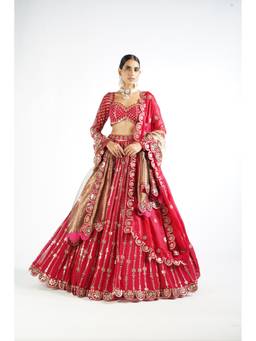 Vvani by Vani Vats - Small Flower Linear Red Blouse with Lehenga and Two Dupattas