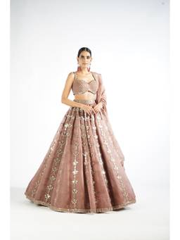 Vvani by Vani Vats - Chandelier Drop Beige Blouse with Lehenga and Dupatta