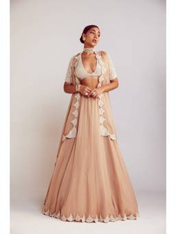 Vvani by Vani Vats - Organza Beige Blouse with Lehenga and Dupatta