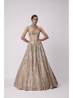 Vvani by Vani Vats - Hand Embroidered Beige Blouse with Lehenga and Dupatta