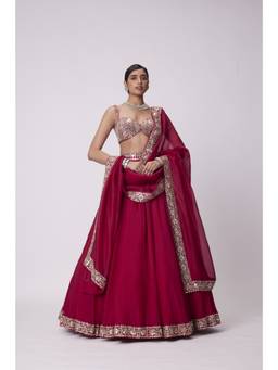 Vvani by Vani Vats - Organza Red Blouse with Lehenga and Dupatta