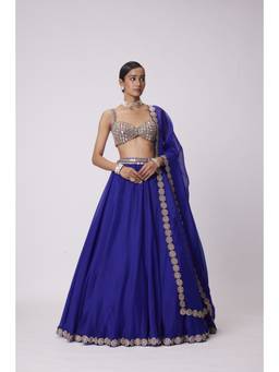 Vvani by Vani Vats - Organza Blue Blouse with Lehenga and Dupatta