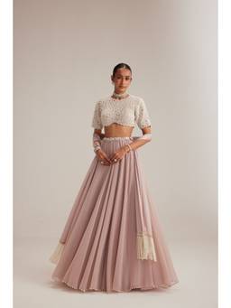 Vvani by Vani Vats - Georgette High Neck Pink Blouse with Lehenga and Dupatta
