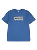 Blue color option, Currently selected
